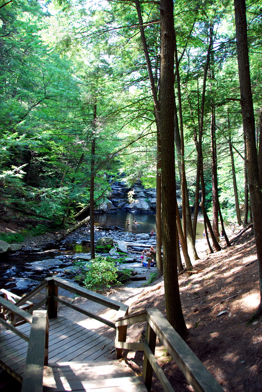 2010-08-03, 003, Dingmans Falls,  PA