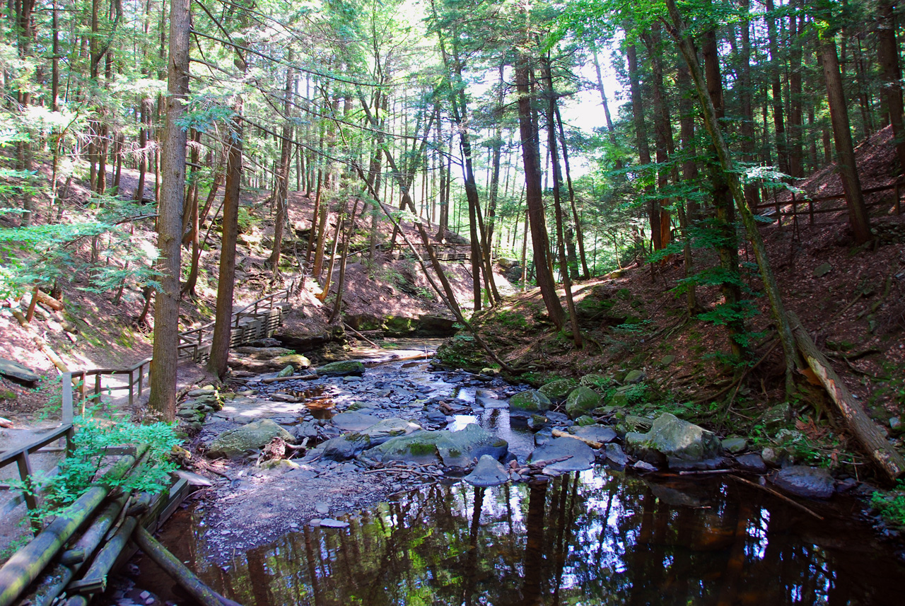 2010-08-03, 004, Dingmans Falls,  PA