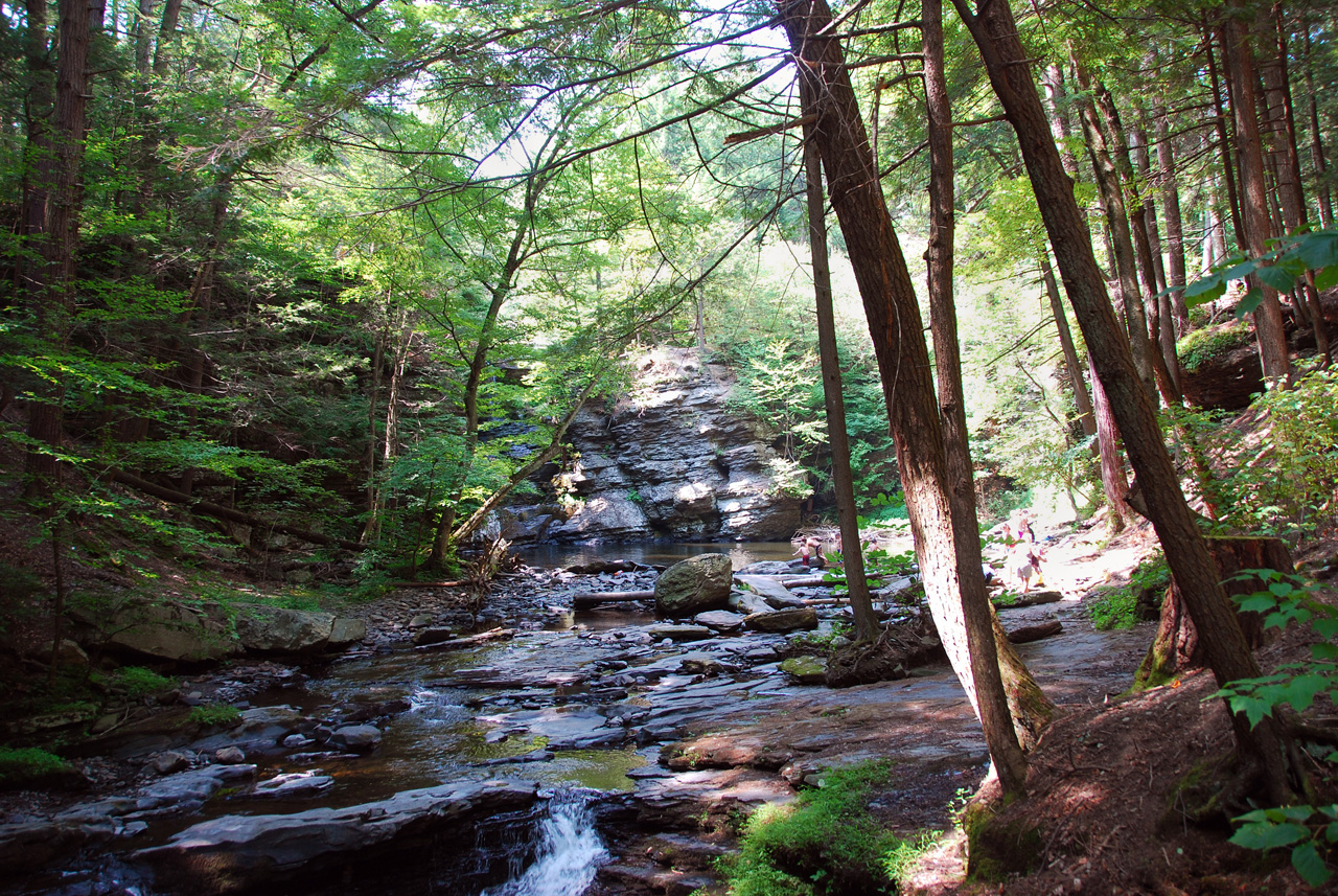 2010-08-03, 005, Dingmans Falls,  PA