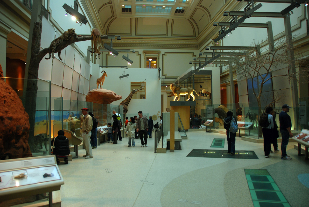 2010-11-01, 006, National Museum of Natural History, Washington, DC