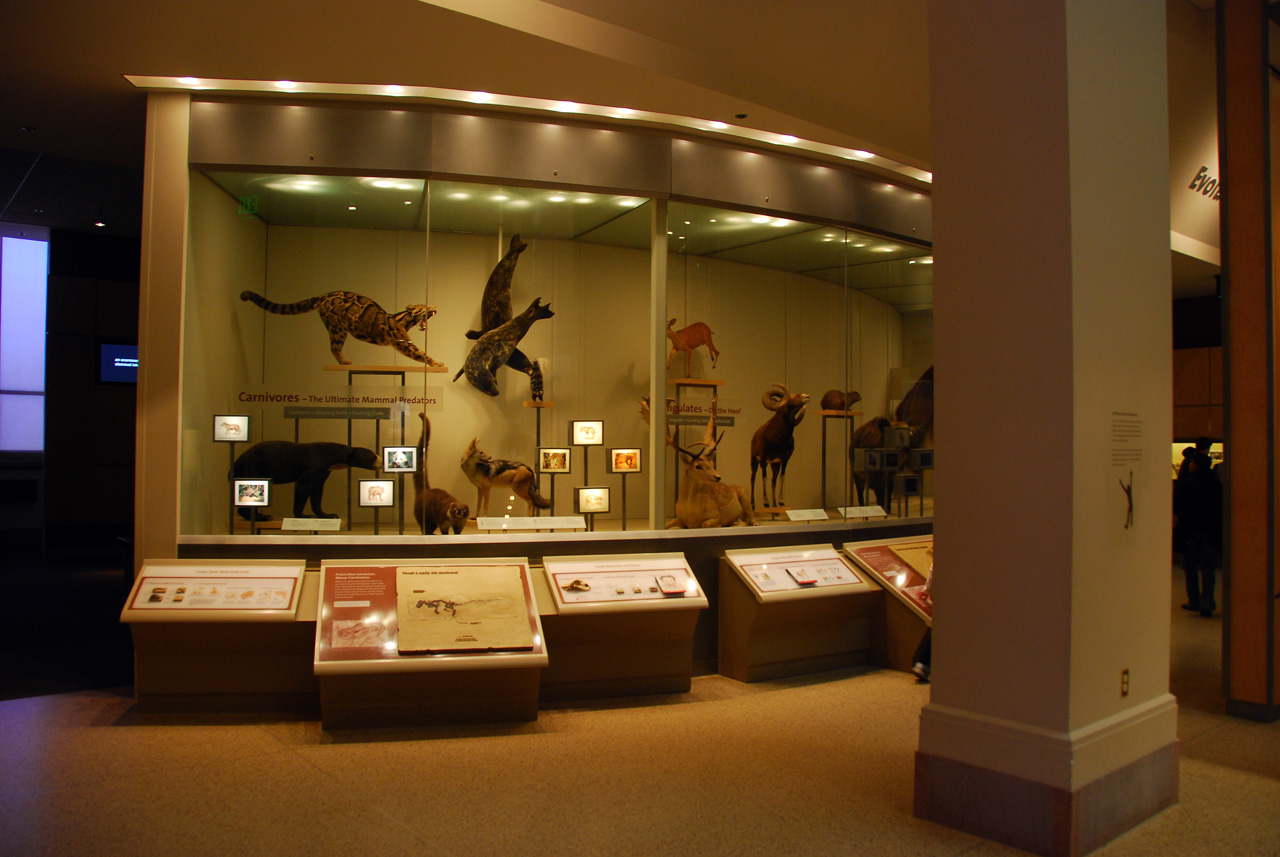 2010-11-01, 008, National Museum of Natural History, Washington, DC