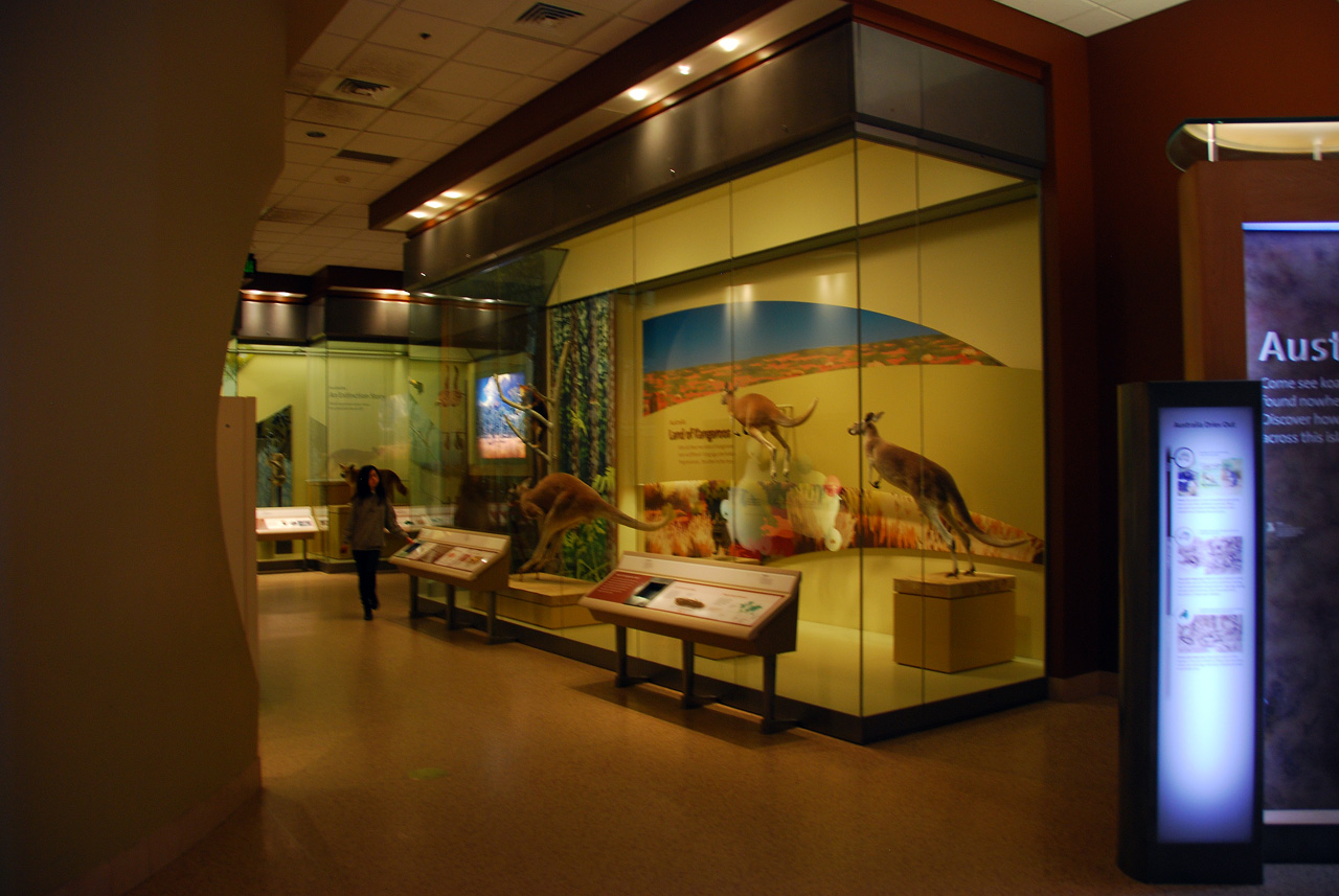 2010-11-01, 009, National Museum of Natural History, Washington, DC