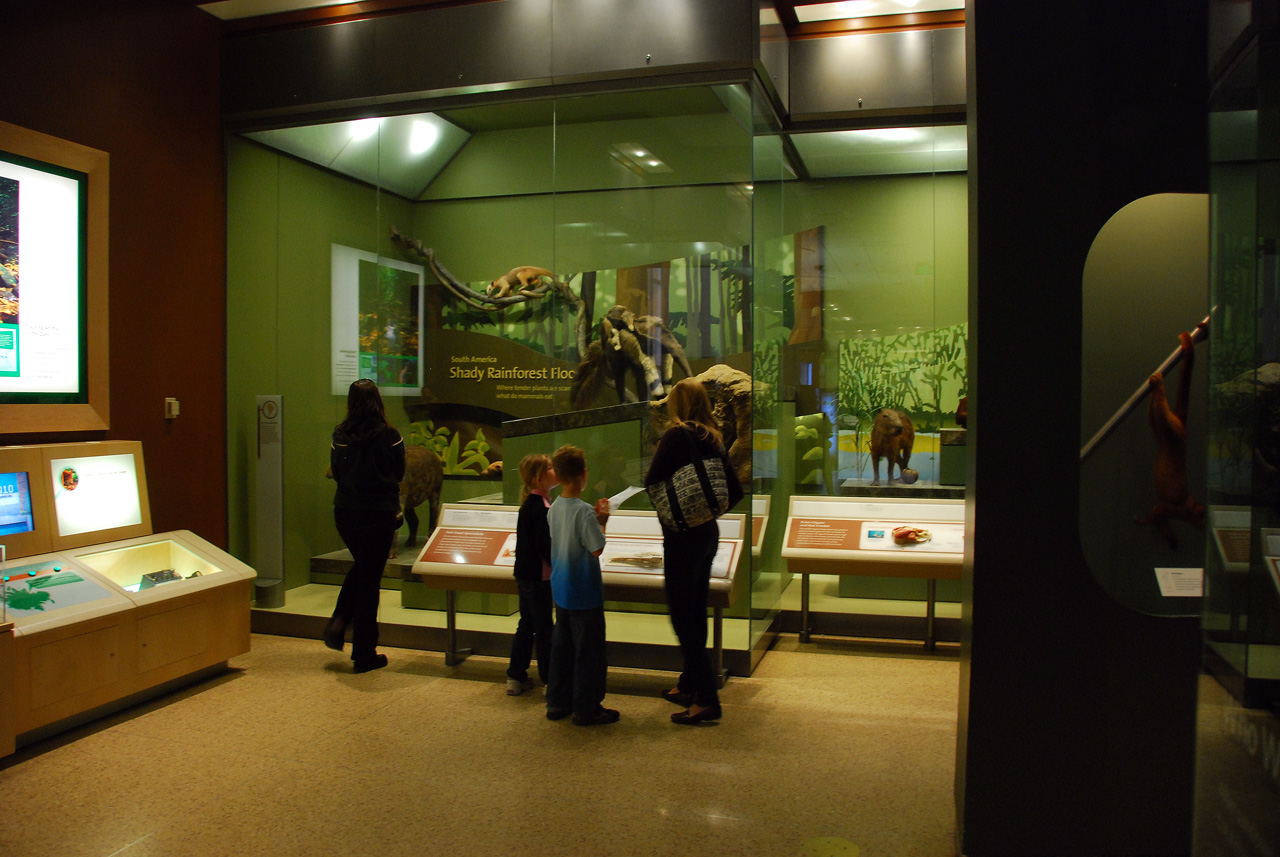 2010-11-01, 010, National Museum of Natural History, Washington, DC