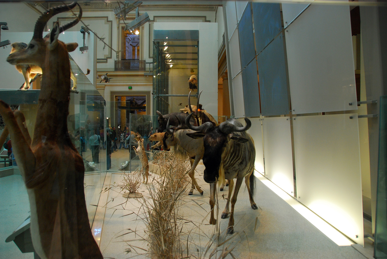 2010-11-01, 013, National Museum of Natural History, Washington, DC