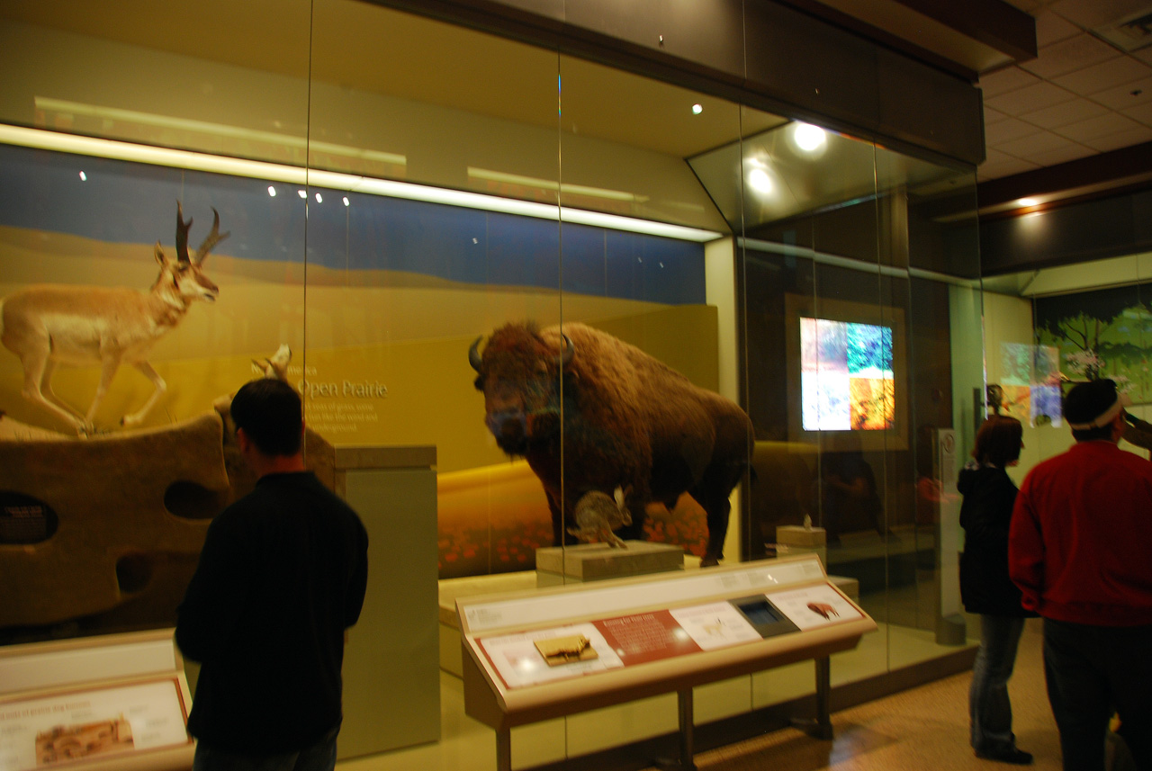 2010-11-01, 014, National Museum of Natural History, Washington, DC