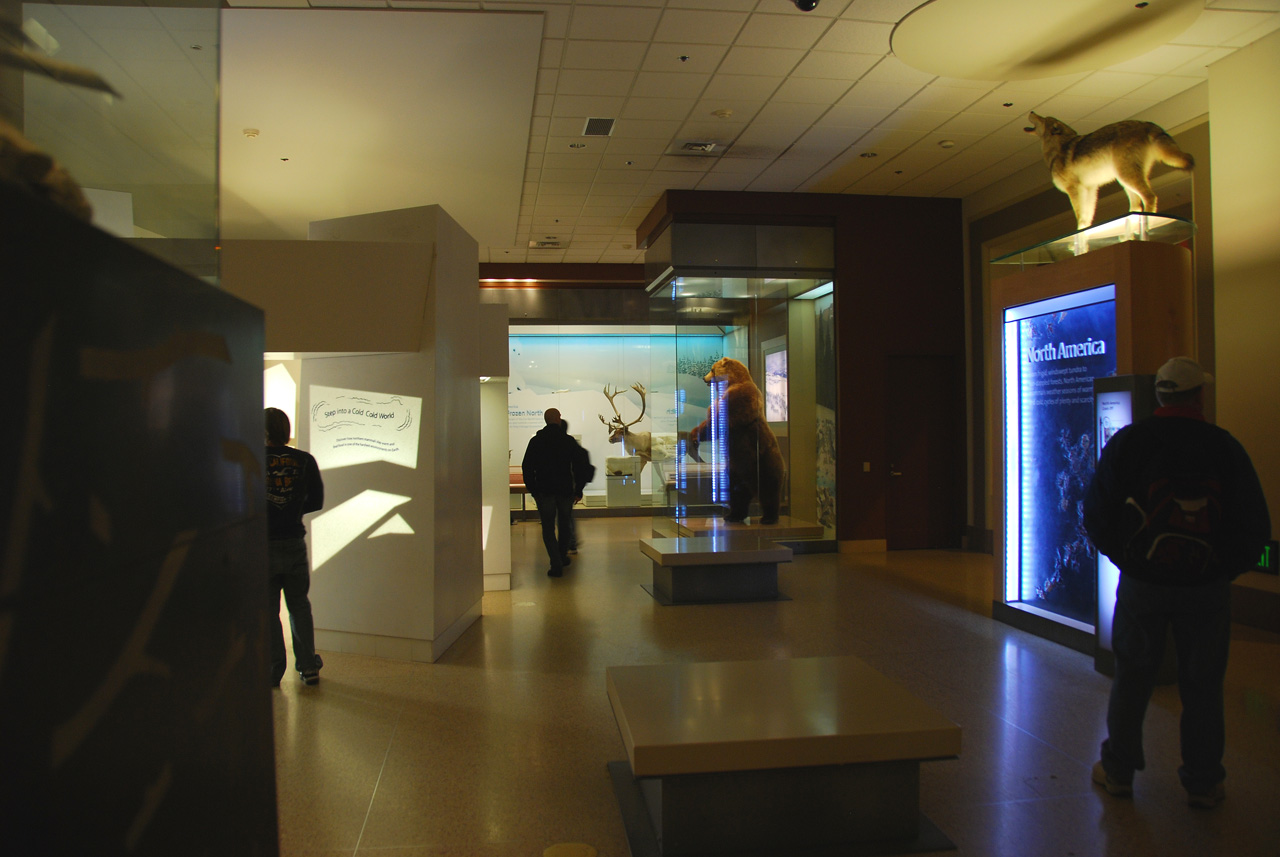 2010-11-01, 015, National Museum of Natural History, Washington, DC