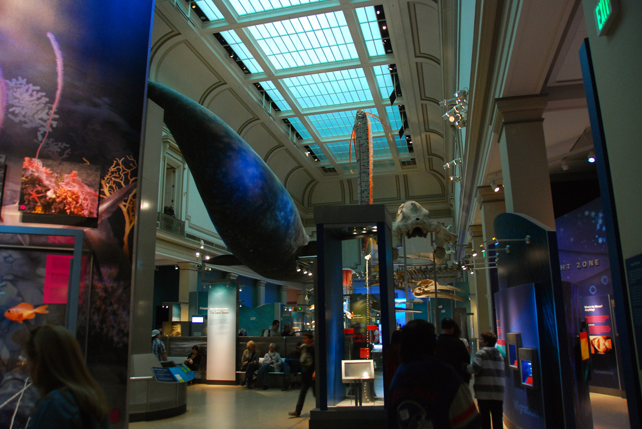 2010-11-01, 020, National Museum of Natural History, Washington, DC