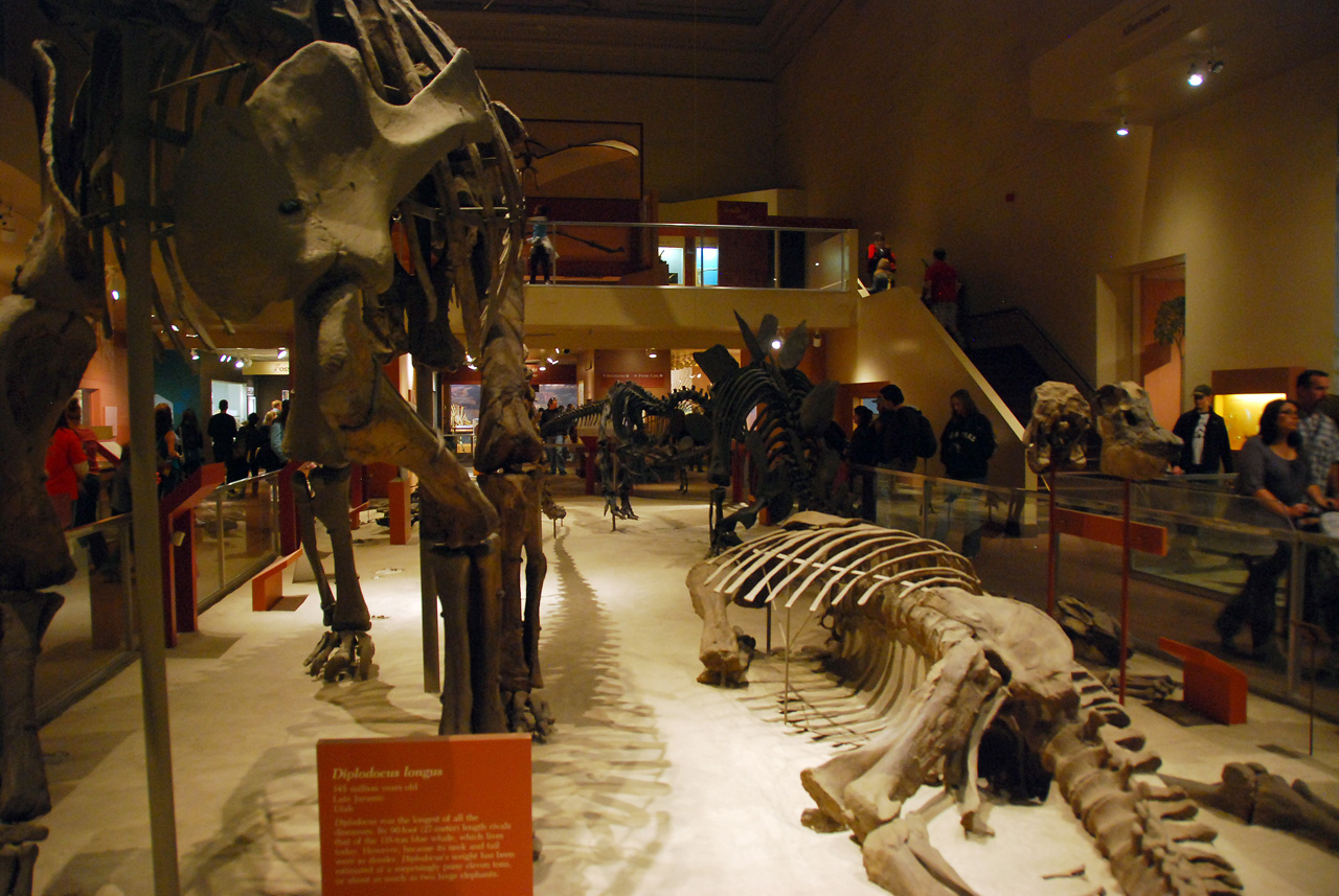 2010-11-01, 029, National Museum of Natural History, Washington, DC