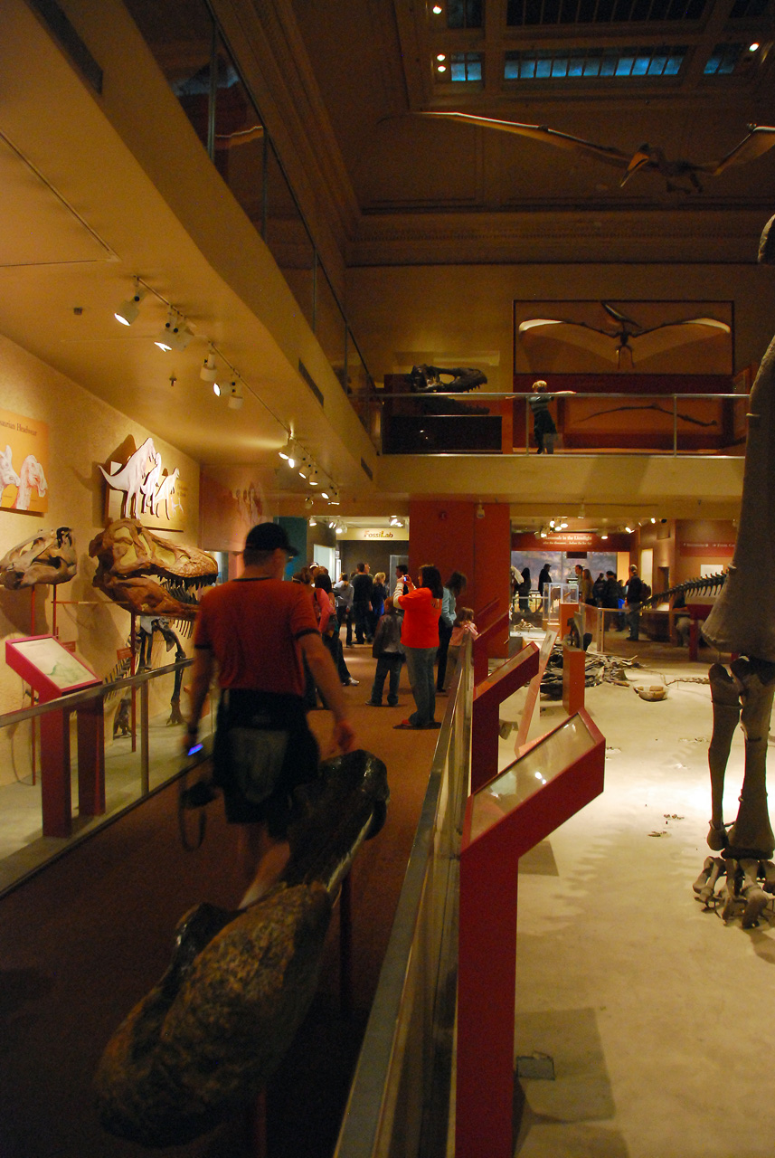 2010-11-01, 030, National Museum of Natural History, Washington, DC