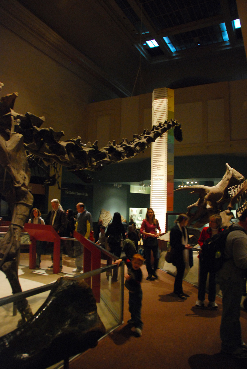 2010-11-01, 031, National Museum of Natural History, Washington, DC