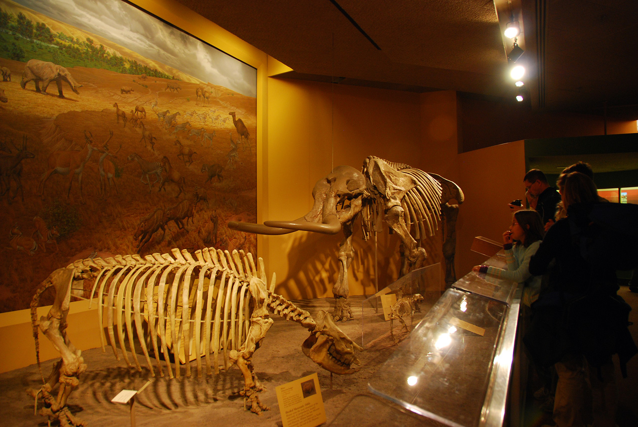 2010-11-01, 049, National Museum of Natural History, Washington, DC