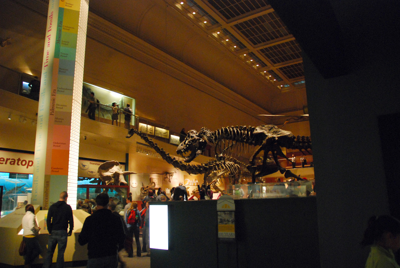 2010-11-01, 055, National Museum of Natural History, Washington, DC