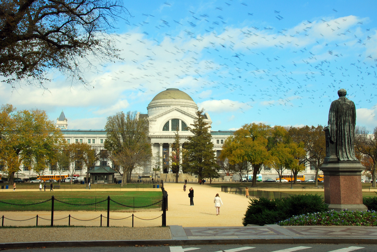 2010-11-03, 021, National Museum of Natual History, Washington, DC