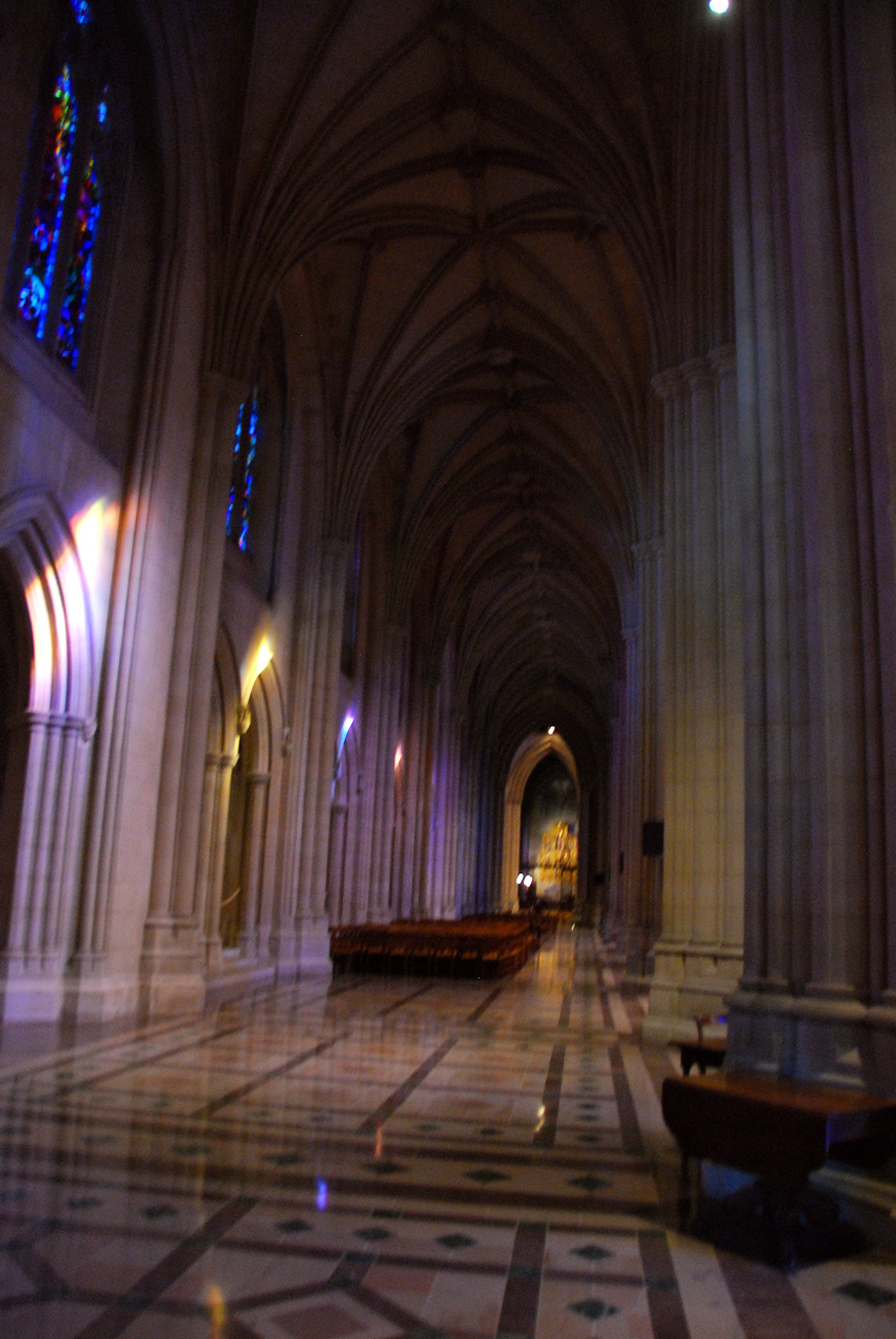 2010-11-08, 011, National Cathedral, Washington, DC