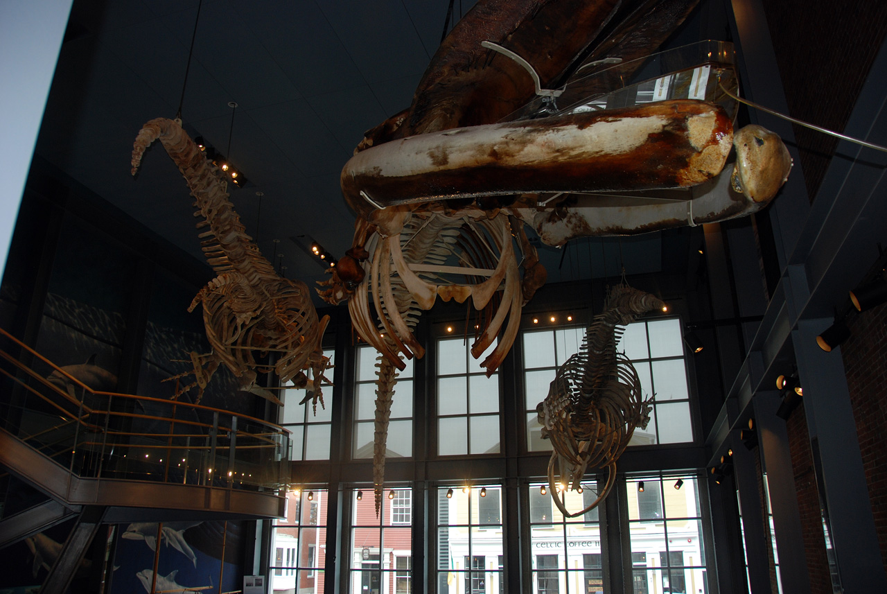 2011-09-06, 010, The Whaling Museum, New Bedford, MA