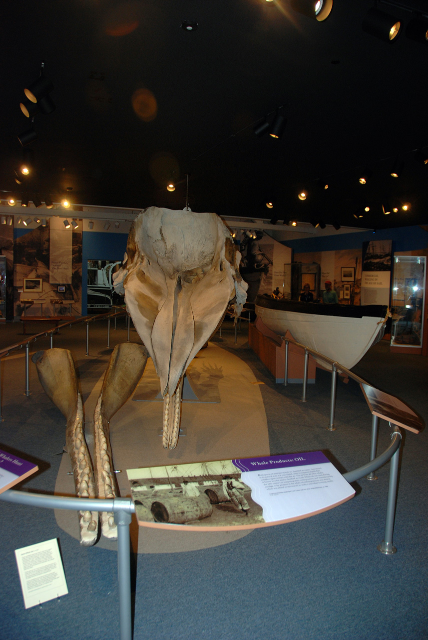 2011-09-06, 018, The Whaling Museum, New Bedford, MA