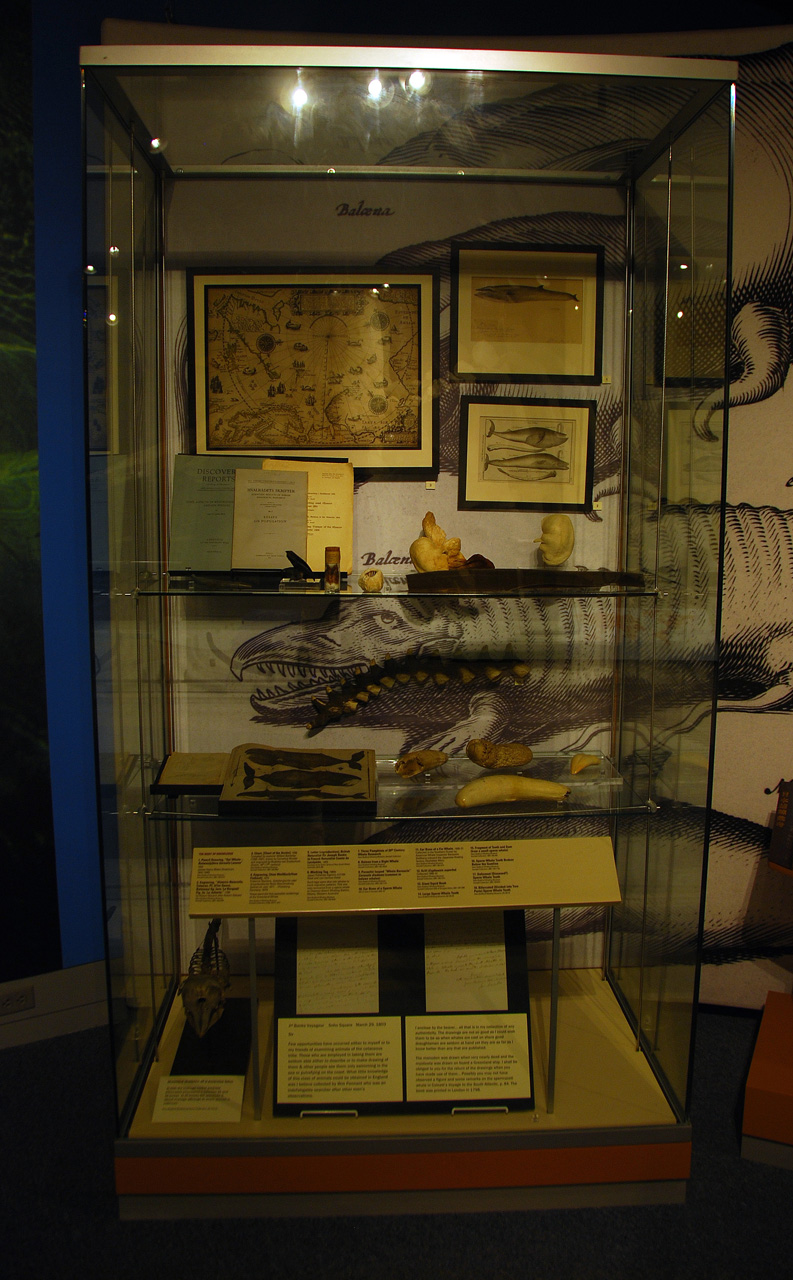 2011-09-06, 021, The Whaling Museum, New Bedford, MA