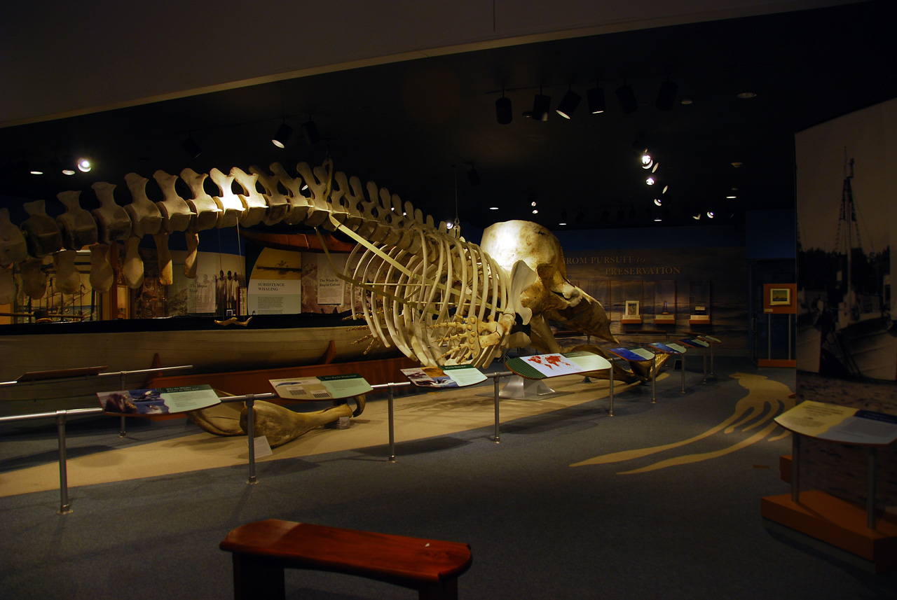 2011-09-06, 024, The Whaling Museum, New Bedford, MA