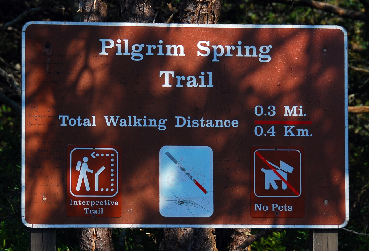 2011-09-13, 023, Pilgrim Spring Trail, Cape Code, MA
