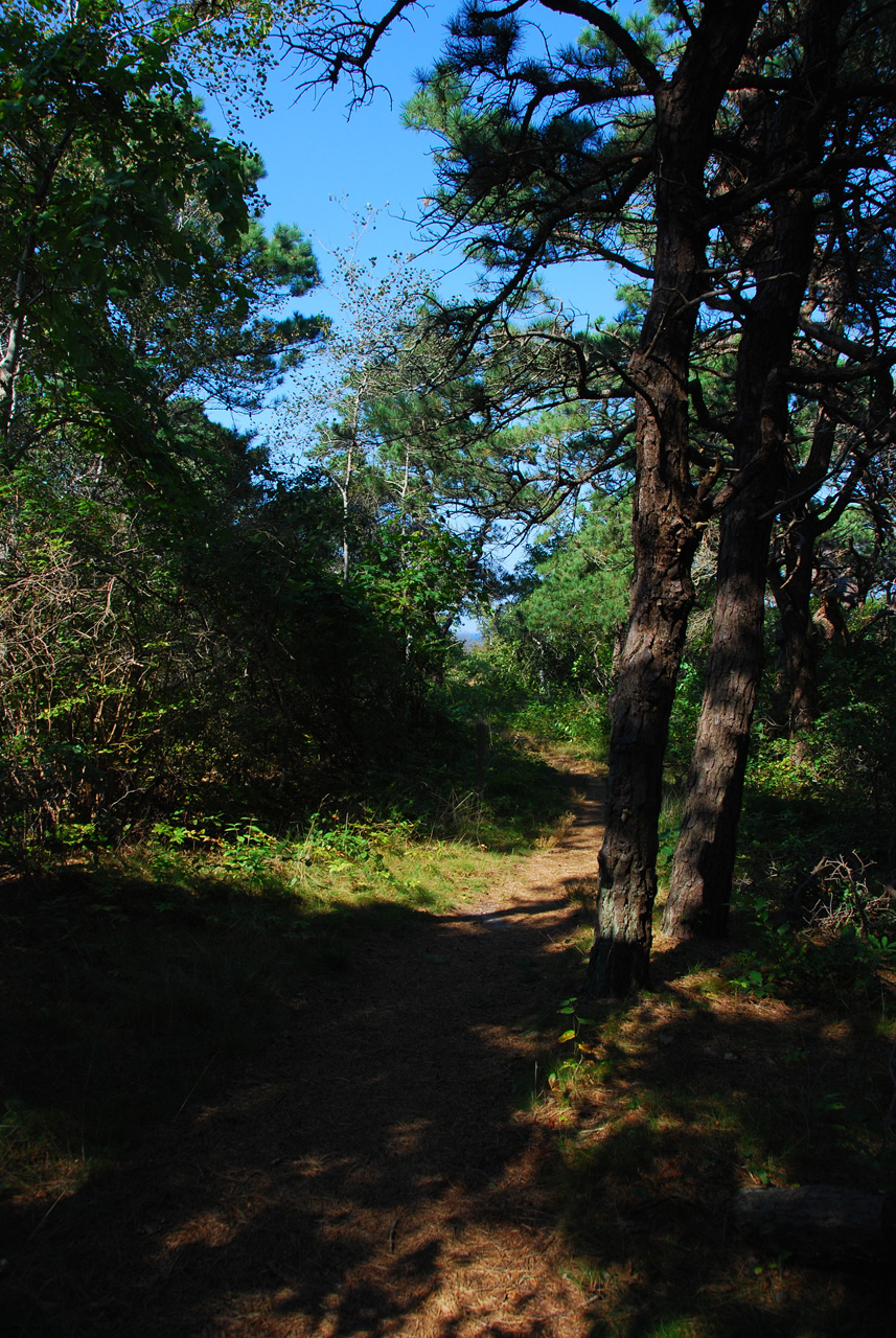 2011-09-13, 025, Pilgrim Spring Trail, Cape Code, MA