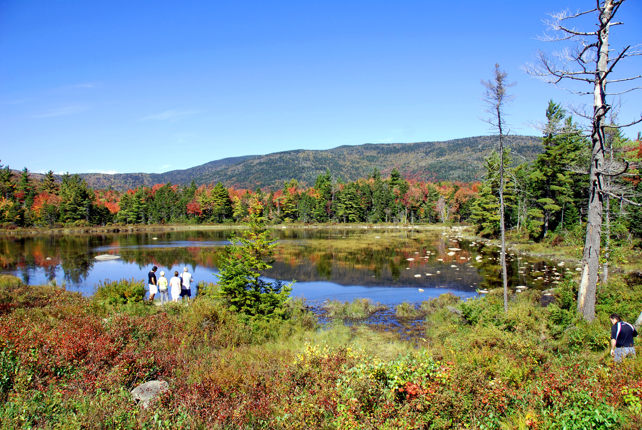 2011-09-25, 054, Lily Pond, White Mts, NH