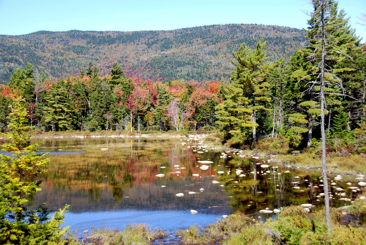 2011-09-25, 056, Lily Pond, White Mts, NH
