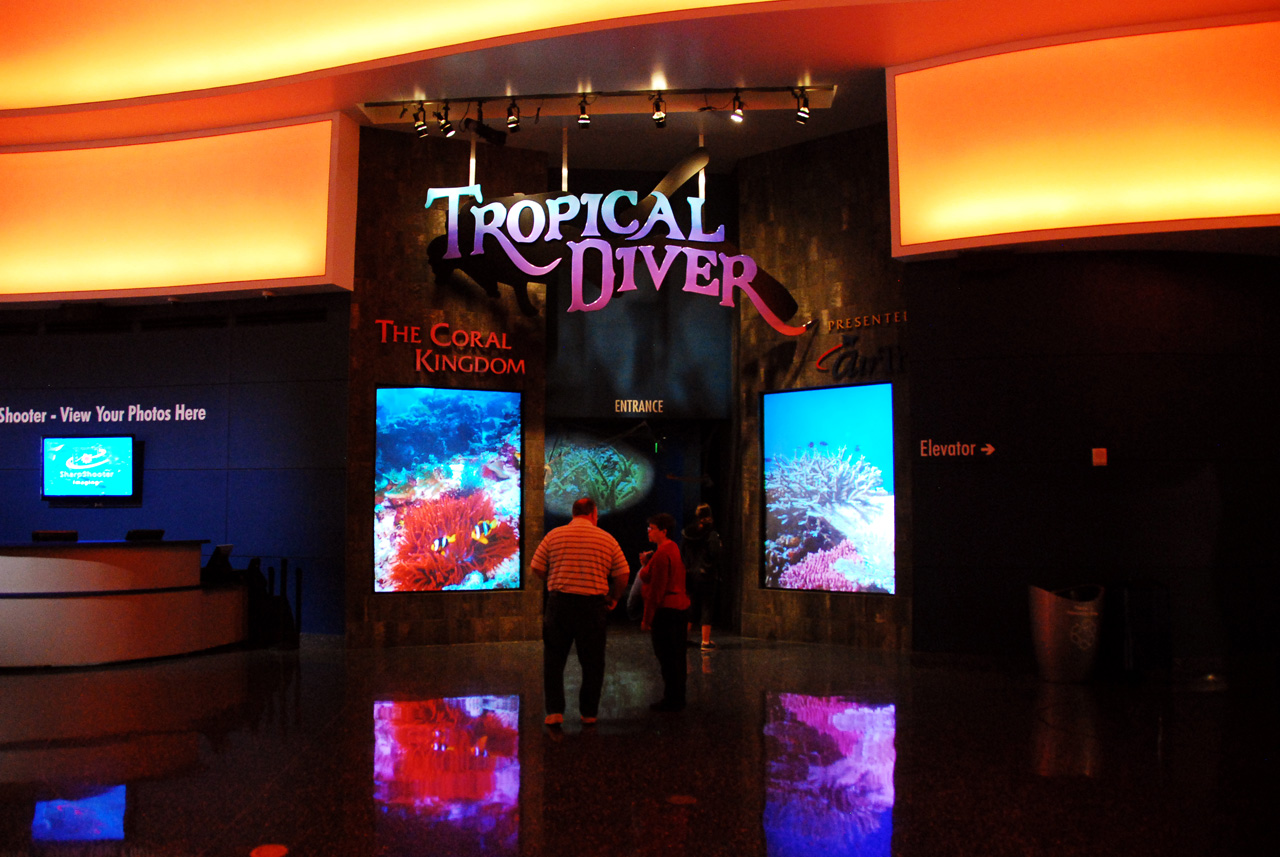 2011-10-27, 004, Georgia Aquarium, Atlanta, GA