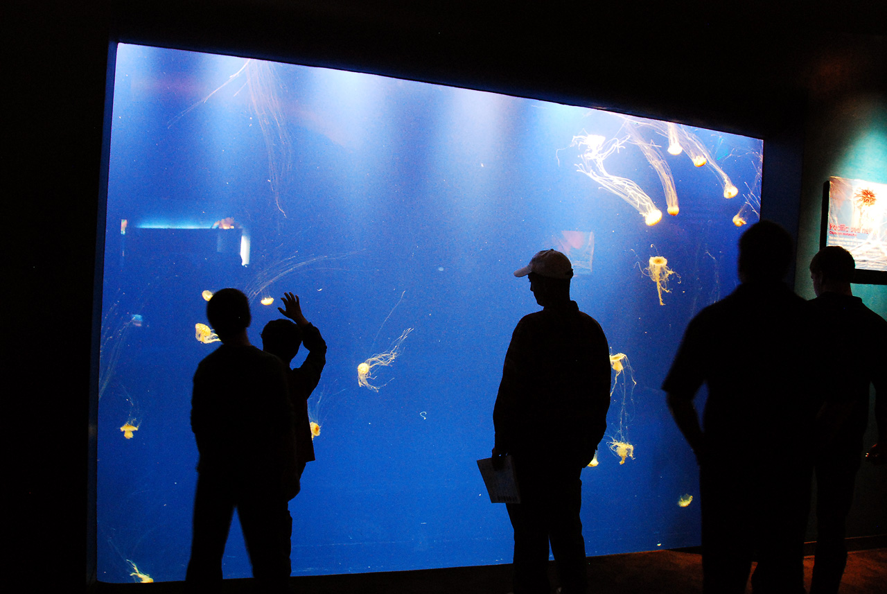 2011-10-27, 007, Georgia Aquarium, Atlanta, GA