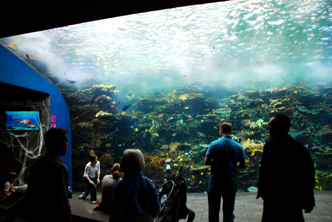 2011-10-27, 009, Georgia Aquarium, Atlanta, GA