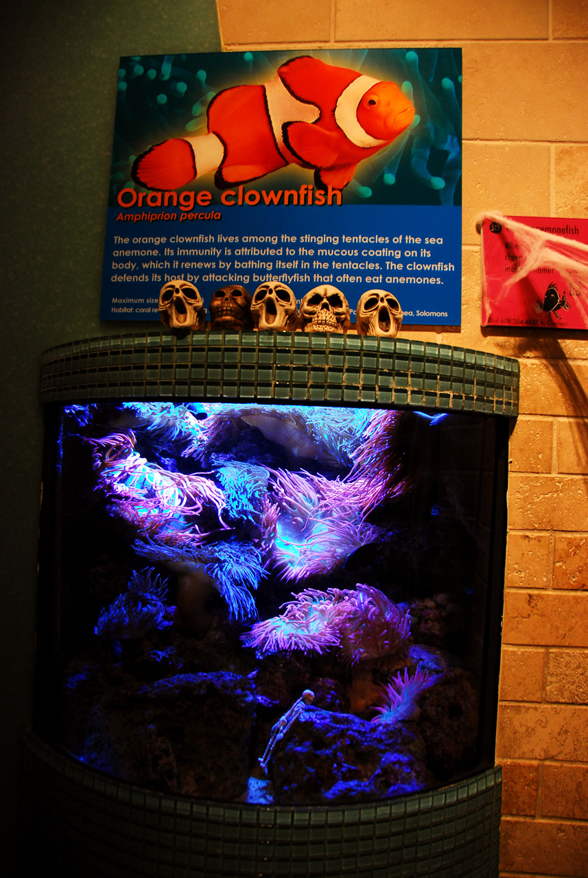 2011-10-27, 015, Georgia Aquarium, Atlanta, GA