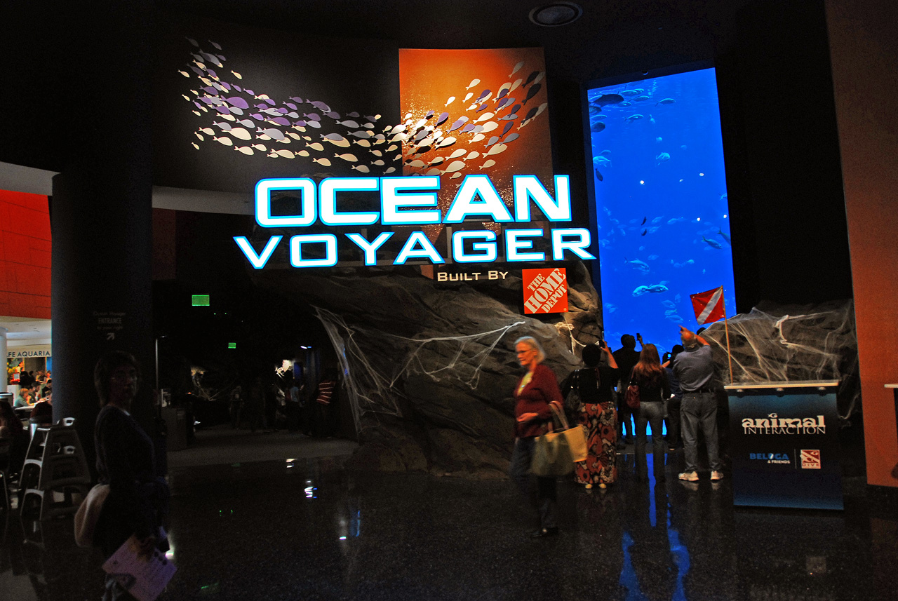2011-10-27, 016, Georgia Aquarium, Atlanta, GA