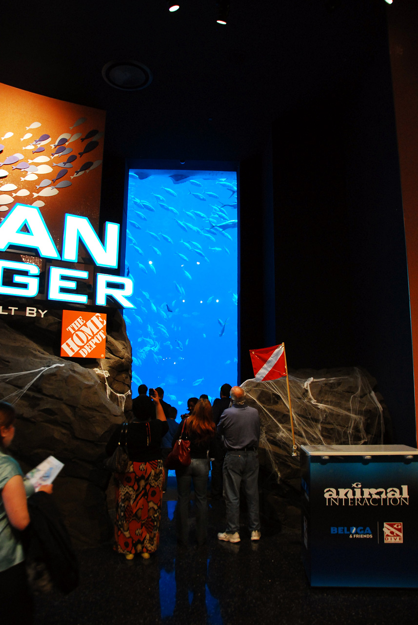 2011-10-27, 017, Georgia Aquarium, Atlanta, GA