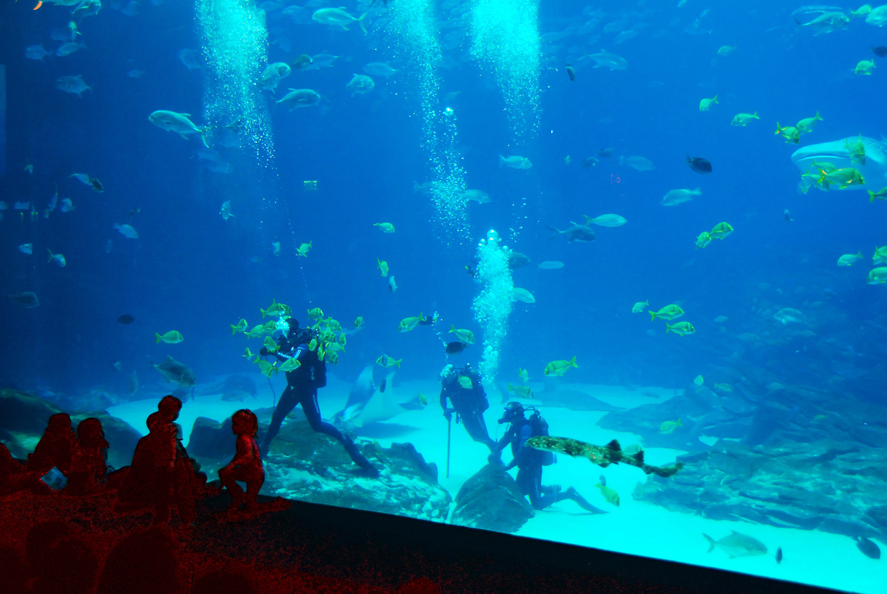 2011-10-27, 039, Georgia Aquarium, Atlanta, GA