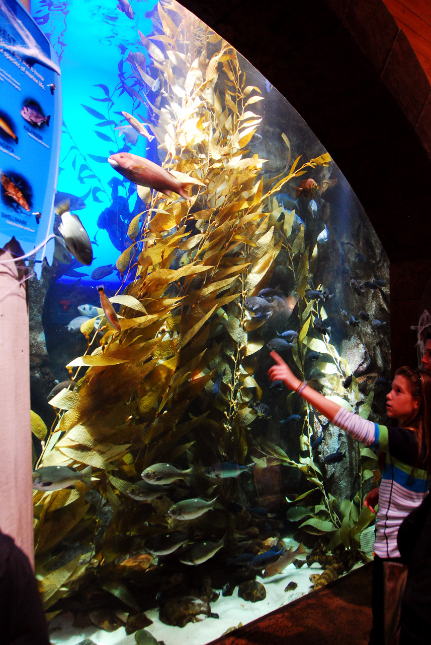2011-10-27, 045, Georgia Aquarium, Atlanta, GA