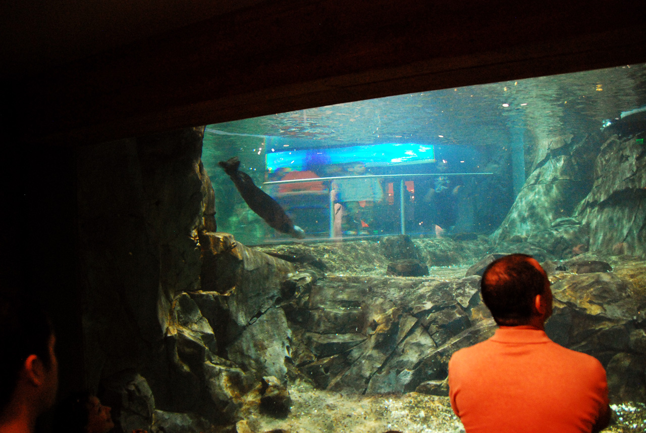 2011-10-27, 053, Georgia Aquarium, Atlanta, GA