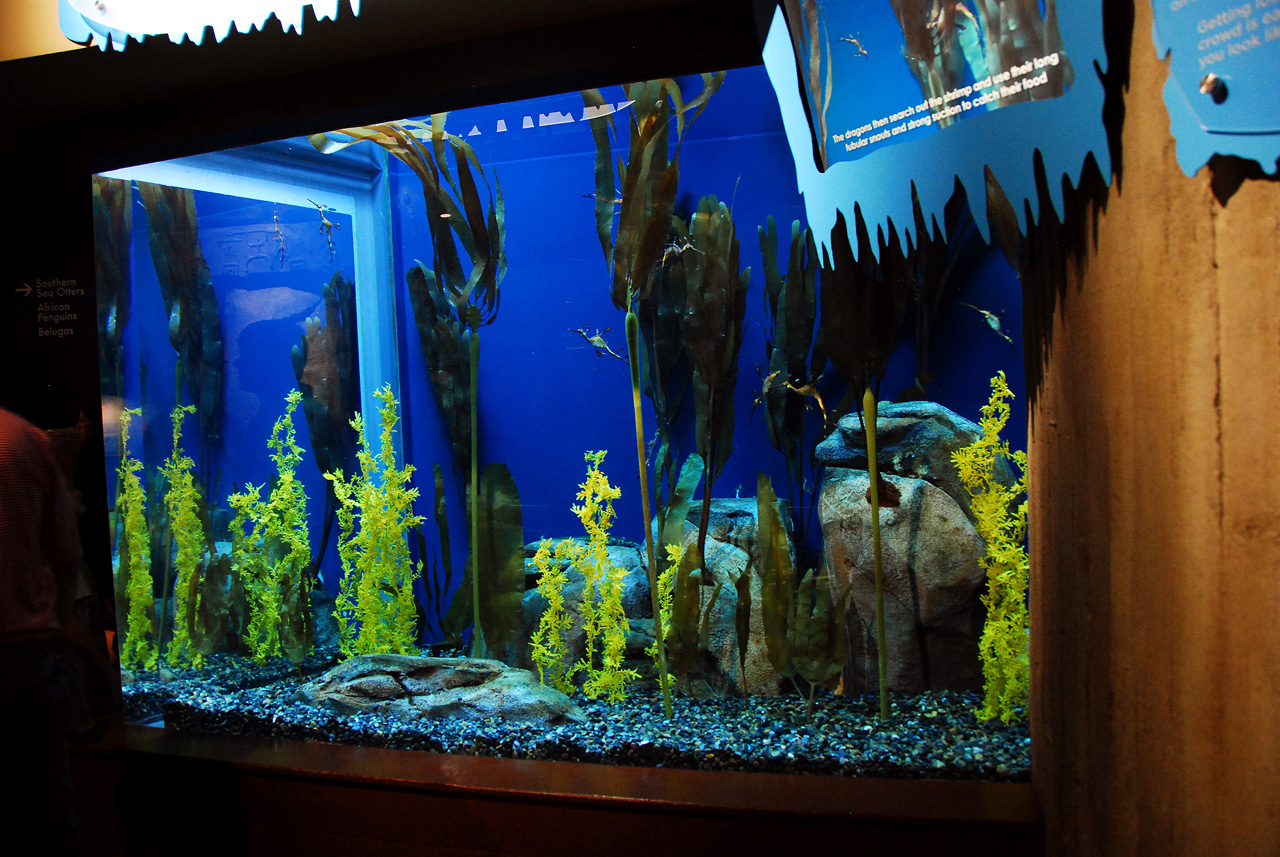 2011-10-27, 054, Georgia Aquarium, Atlanta, GA