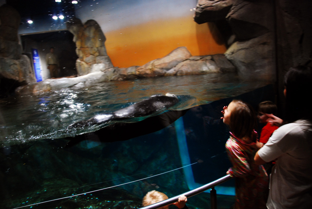 2011-10-27, 060, Georgia Aquarium, Atlanta, GA