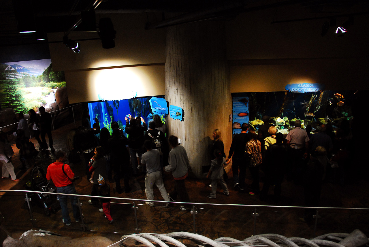 2011-10-27, 073, Georgia Aquarium, Atlanta, GA