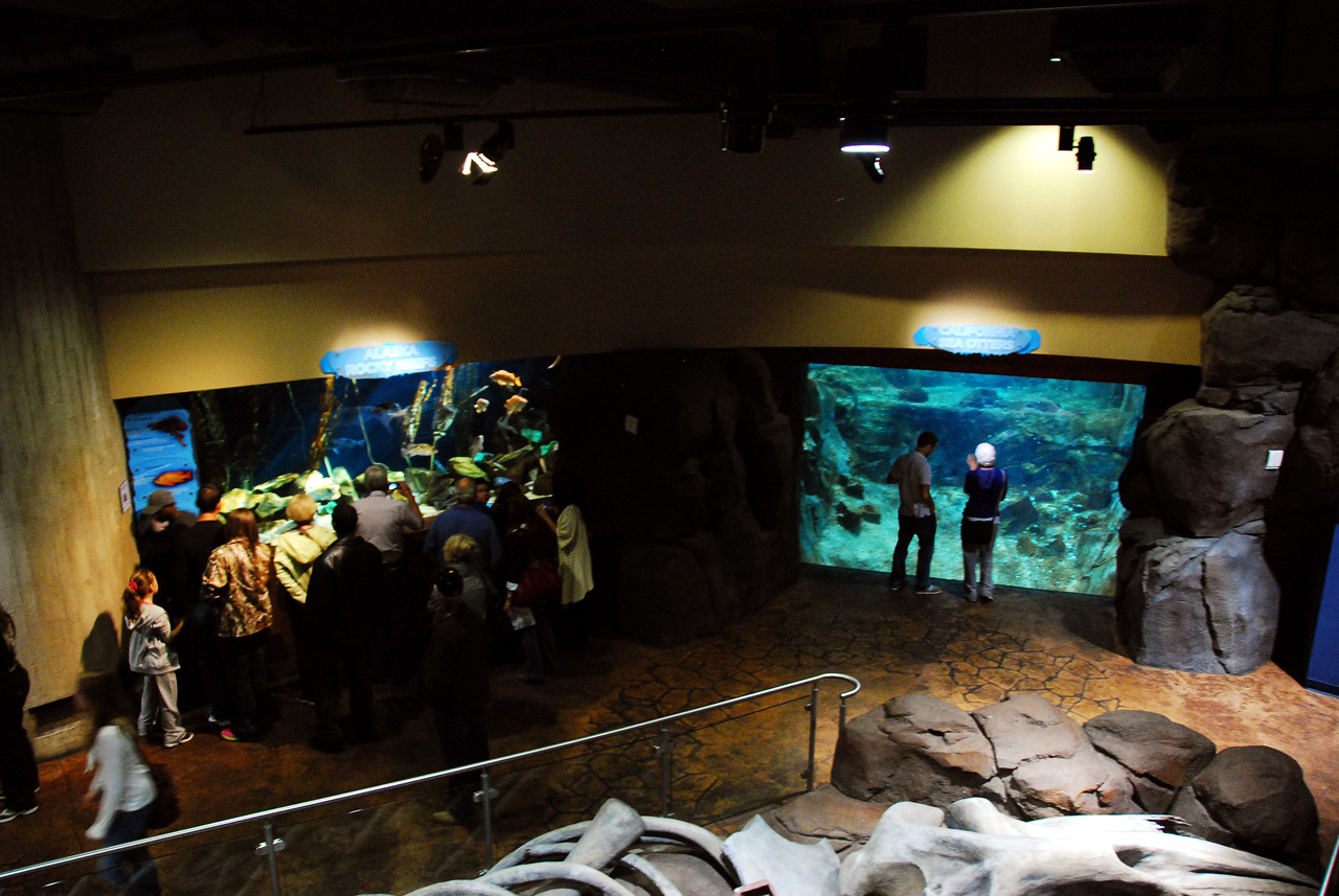 2011-10-27, 074, Georgia Aquarium, Atlanta, GA