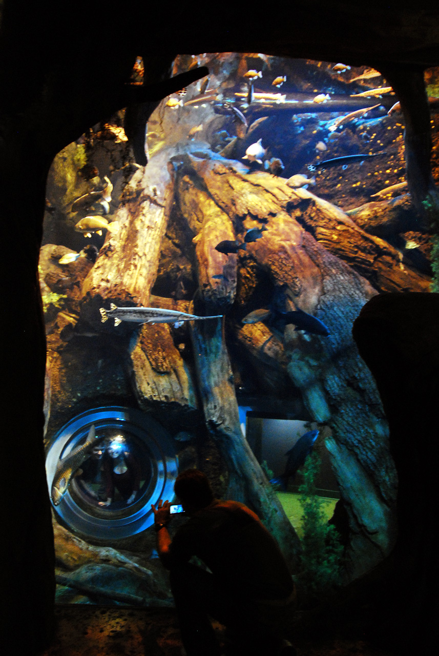 2011-10-27, 079, Georgia Aquarium, Atlanta, GA