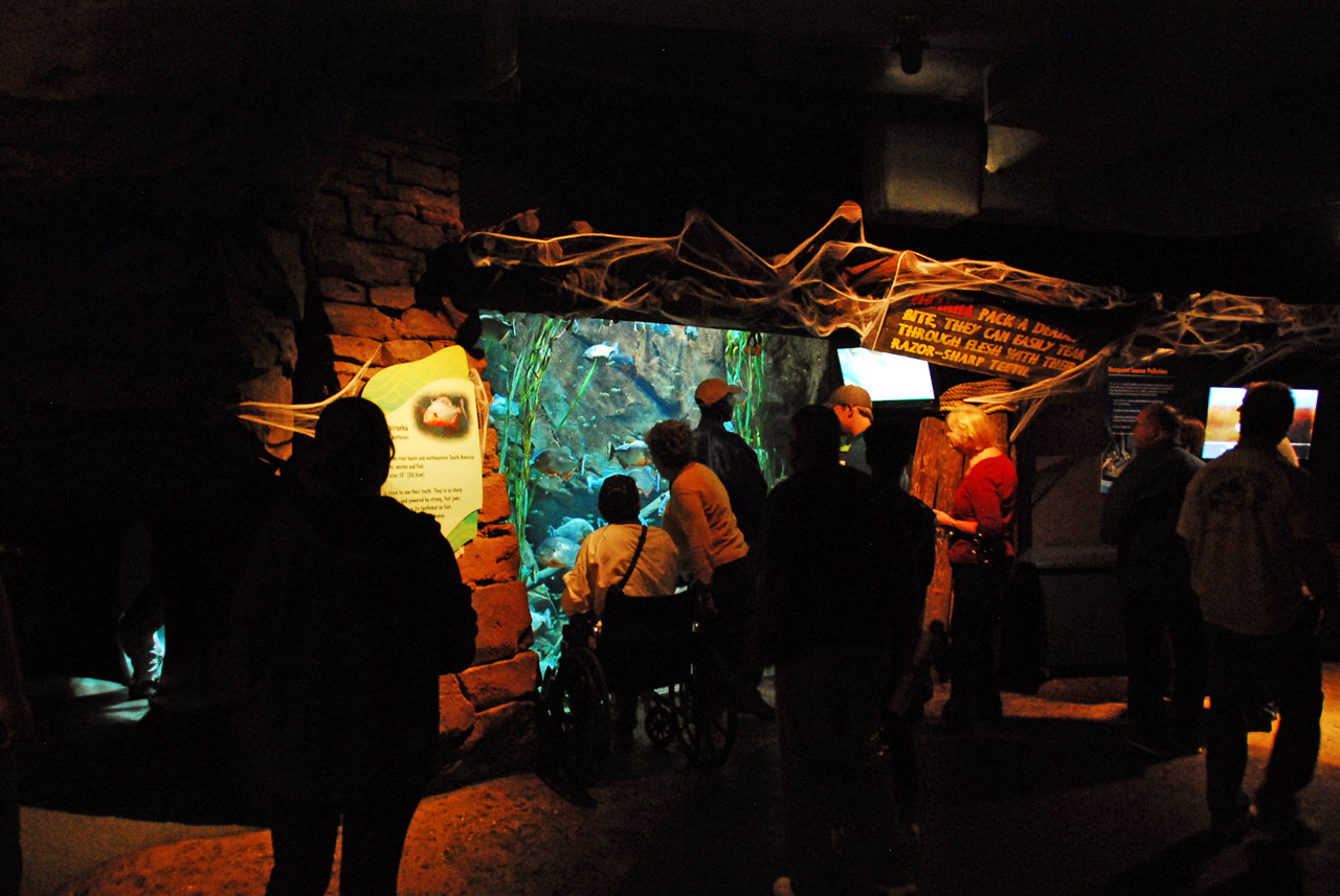 2011-10-27, 086, Georgia Aquarium, Atlanta, GA