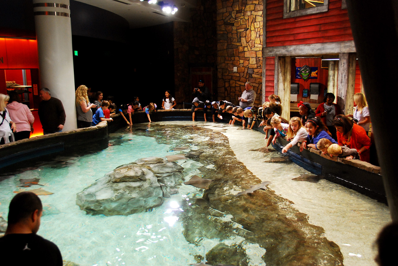 2011-10-27, 095, Georgia Aquarium, Atlanta, GA