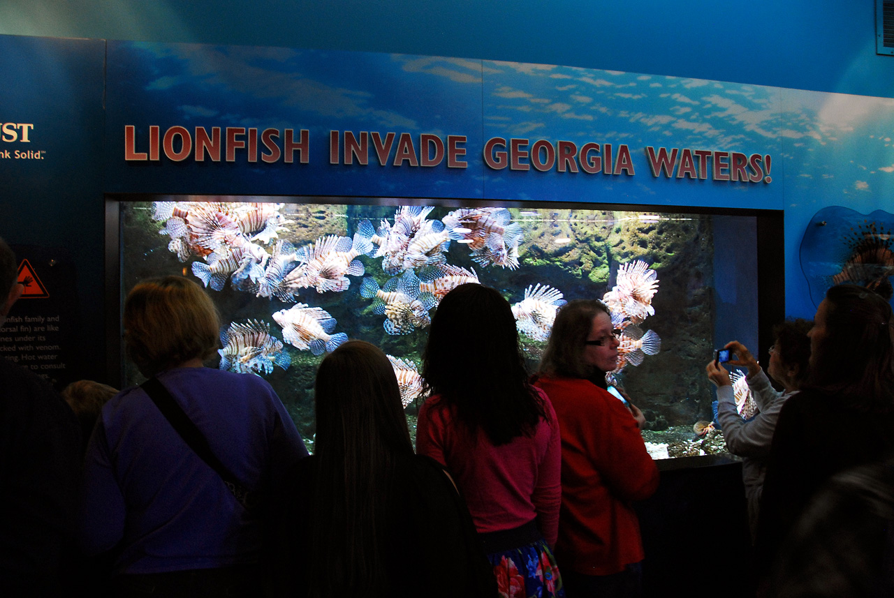 2011-10-27, 097, Georgia Aquarium, Atlanta, GA