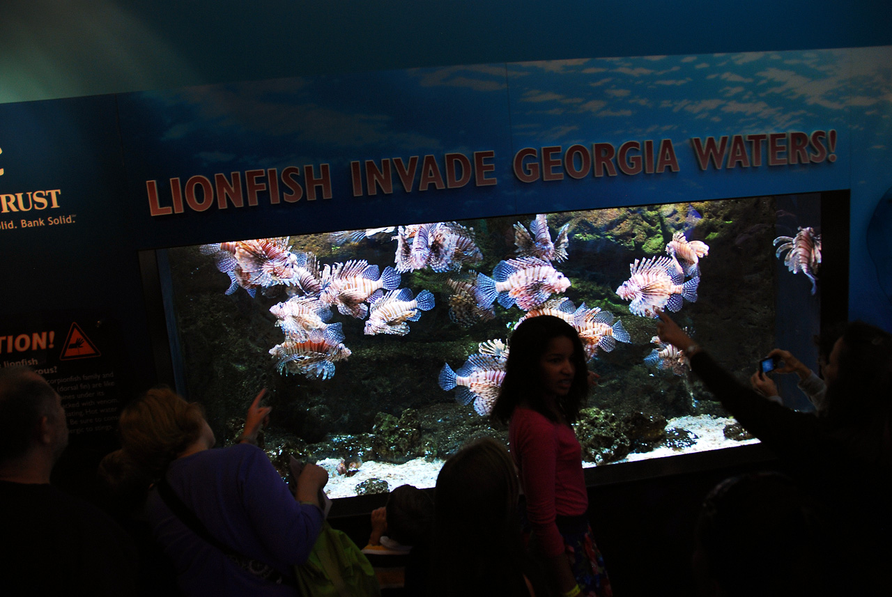 2011-10-27, 098, Georgia Aquarium, Atlanta, GA