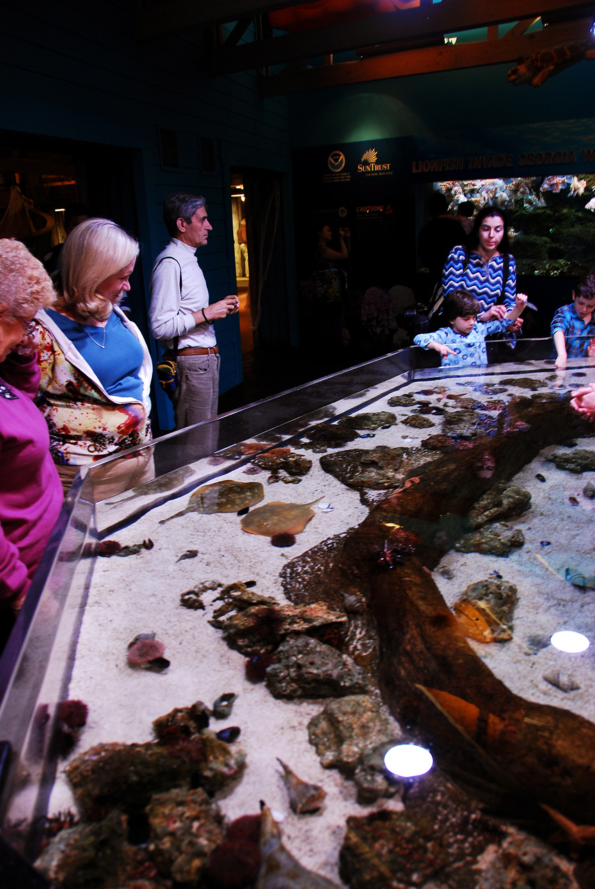 2011-10-27, 099, Georgia Aquarium, Atlanta, GA