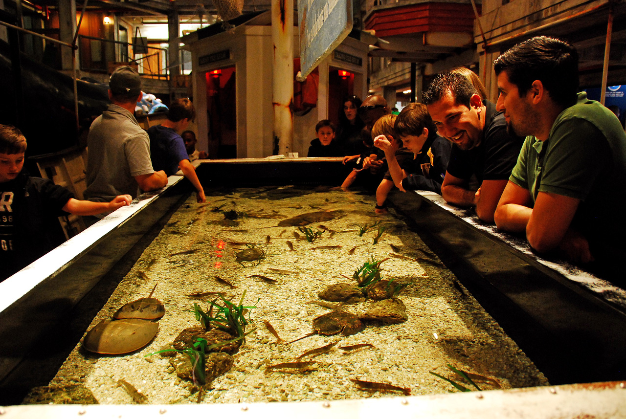 2011-10-27, 106, Georgia Aquarium, Atlanta, GA