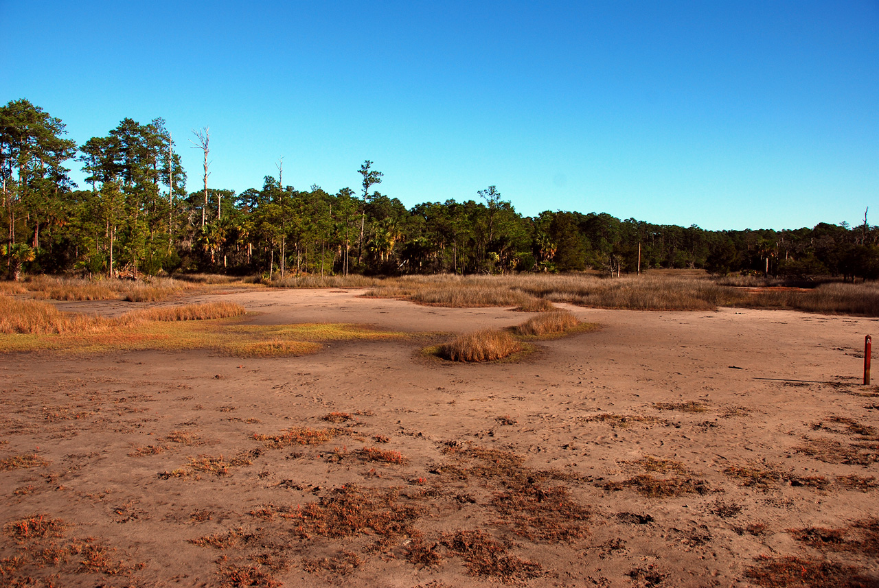 2011-11-05, 004, Along Tail, Skidaway Island Park, GA