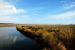 2012-01-17, 029, Gulf Shore State Park, AL