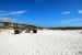 2012-01-17, 036, Gulf Shore State Park, FL