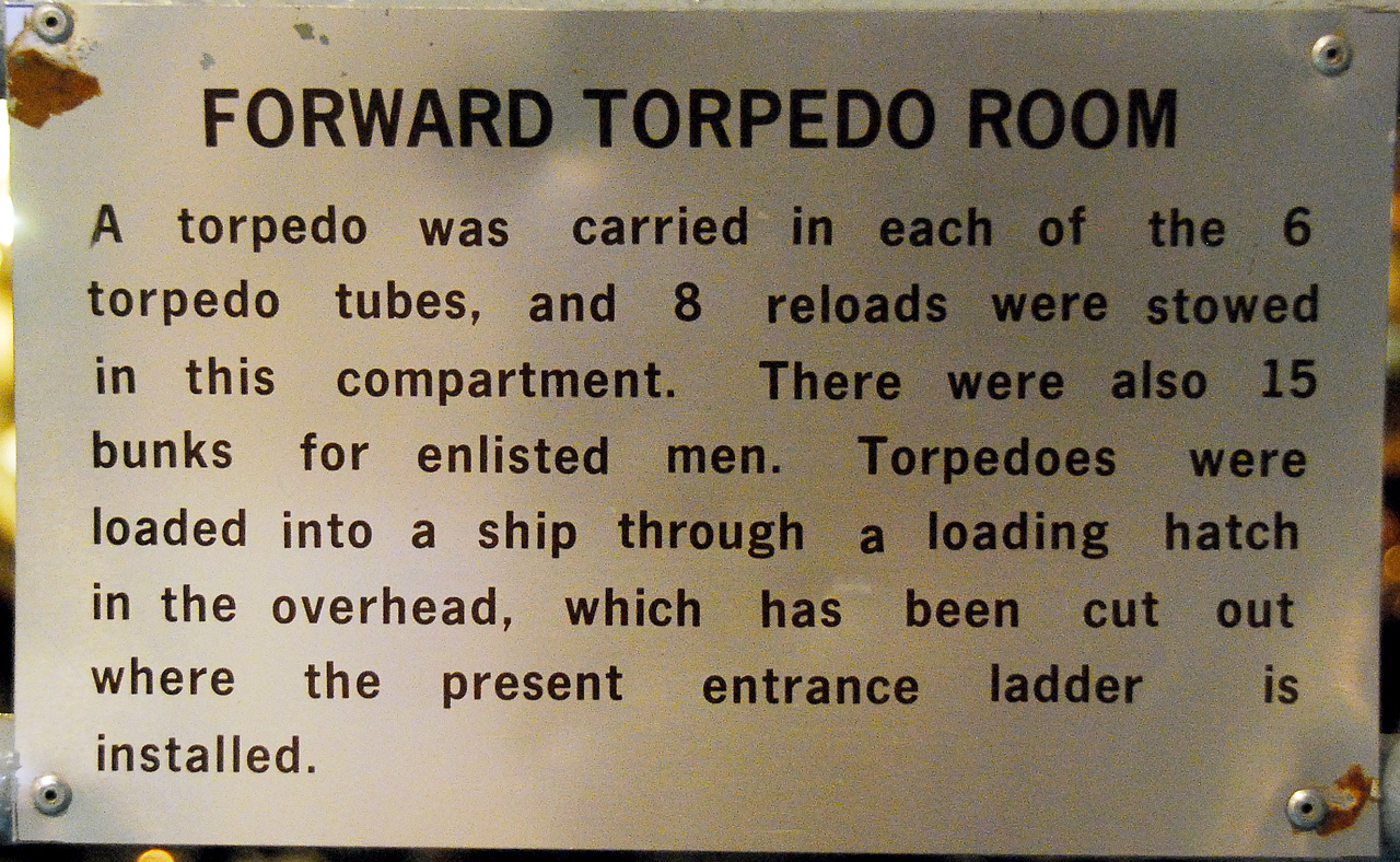 013, Forward Torpedo